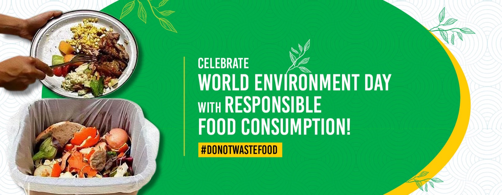 Food for Thought: The Impact of Food Waste on the Environment and How to Reduce It