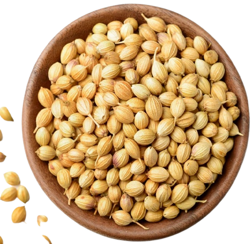 Dhana - Coriander Seeds